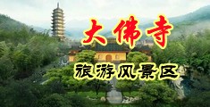 性视频网页。中国浙江-新昌大佛寺旅游风景区